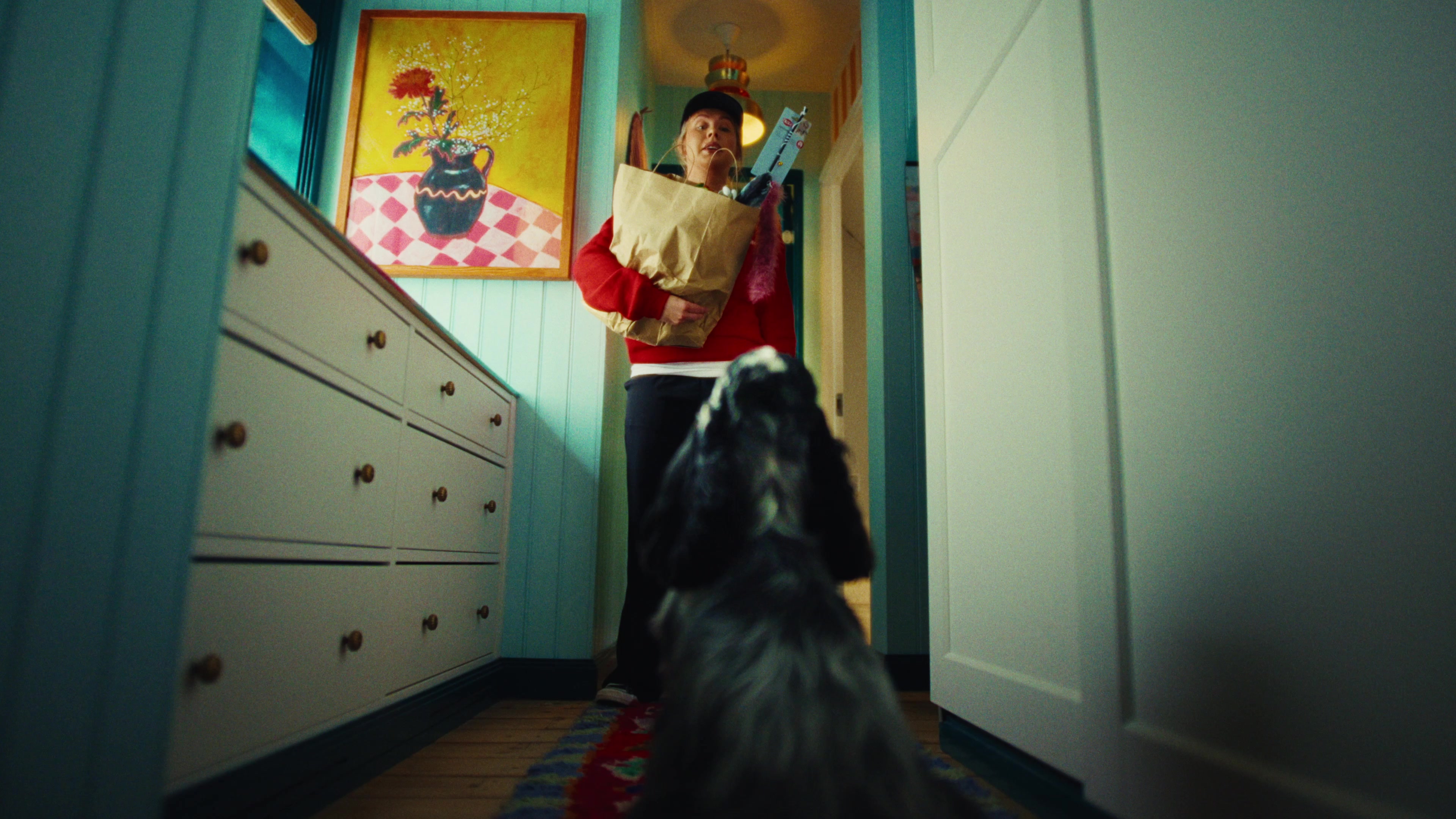 Gæludýr.is — Commercial — still 4