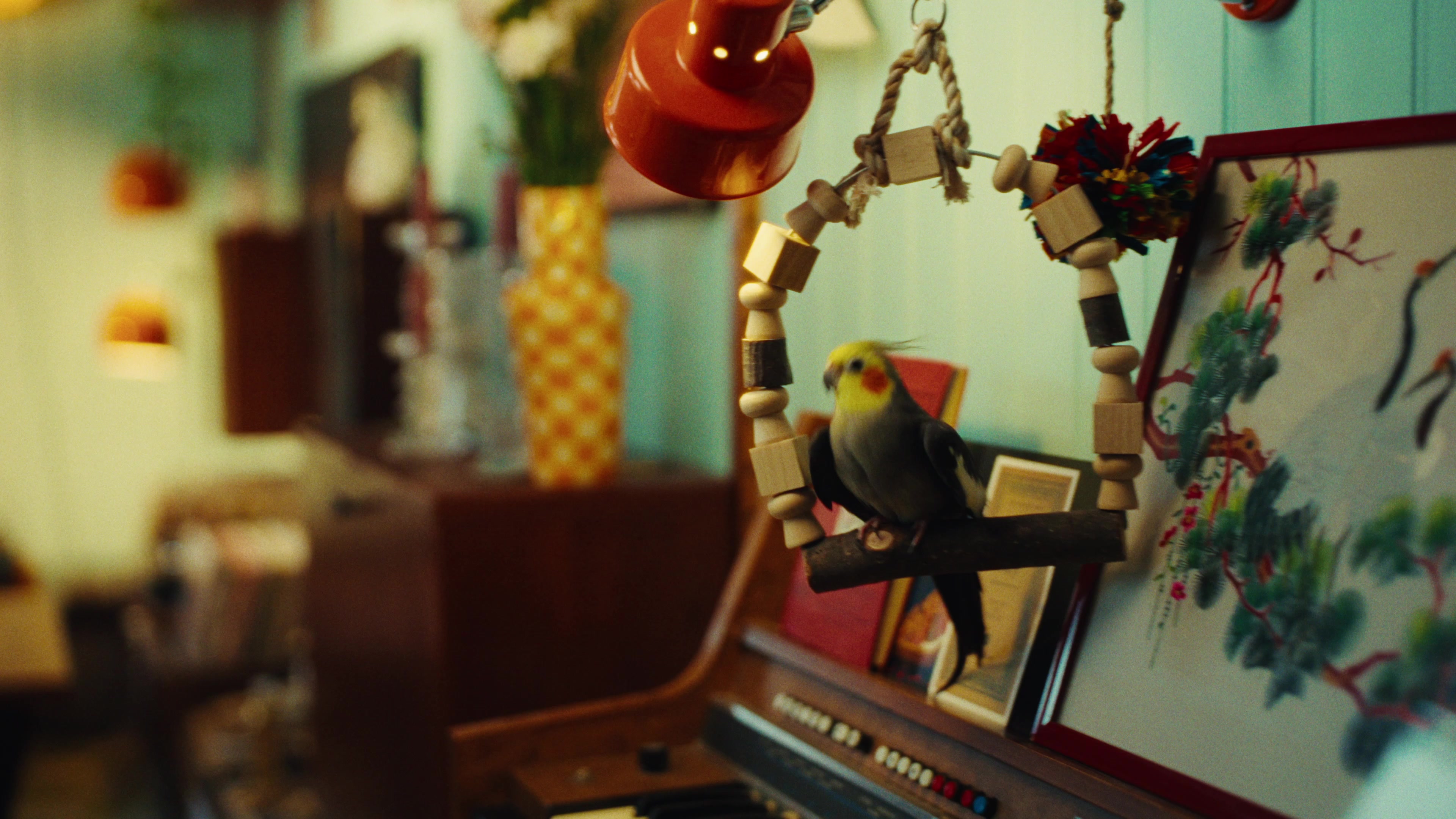 Gæludýr.is — Commercial — still 6